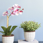 Arranjo Peperômia Artificial No Vaso Branco Cerâmica | Formos